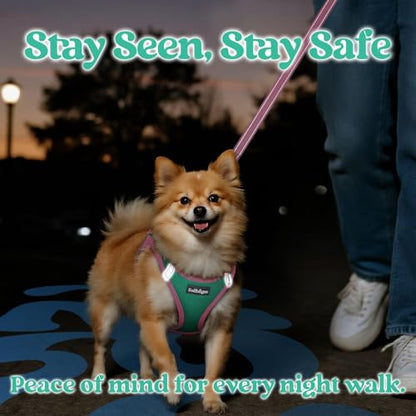 rabbitgoo Dog Harness Small Sized and Leash Set, Step-in Breathable Pet Harness, Soft Walking Reflective Puppy Vest for Small Dogs, Teal & Pink, XXS - color: Teal & Pink, size: XXS (Chest: 12.4 - 14.2")