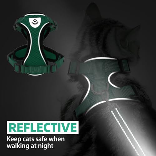 PUPTECK Cat Harness and Leash Set Escape Proof Reflective Cat Walking Harness Adjustable Soft Breathable Mesh Vest for Small Pets, Dark Green, S - color: Dark Green, size: S (NECK 9.5"-11", CHEST 13"-16")