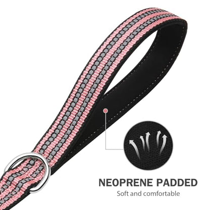 Hikiko 6 FT Heavy Duty Dog Leash with 2 Padded Handles Reflective Nylon Double Handle Dog Leash, Cherry Pink - color: Cherry Pink, size: 1 in x 6 ft