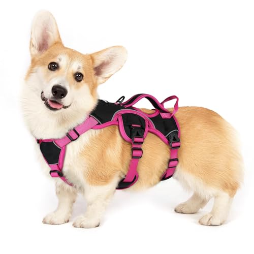 rabbitgoo Escape Proof Dog Harness Small Sized Dog, Soft Padded Full Body Pet Harness, Reflective Adjustable Vest with Lift Handle and Leash Clip for Walking Hiking Training, Pink & Black, S - color: Pink & Black, size: Small (Pack of 1)