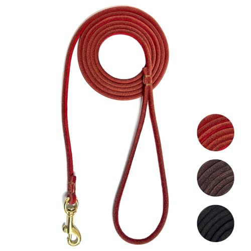 Guiding Star Leather Dog Leash 6 ft x 1/4 inch,Thin and Lightweight Leather Leashes for Small Dogs,Leather Cat Leashes for Small Cats,Soft Genuine Leather Dog Training Leashes for Petite Dogs Red - color: Red, size: Basic Leash