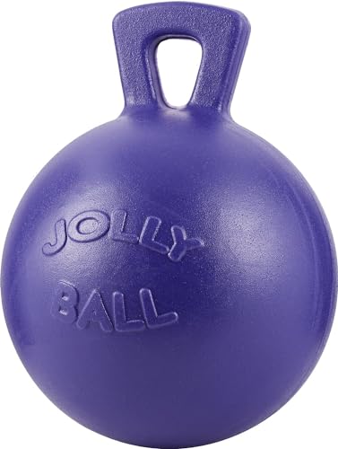 Jolly Pets Tug-n-Toss Heavy Duty Dog Toy Ball with Handle, 4 Inches/Petite, Purple (404 PR) - color: Purple, size: 4 inches/Petite