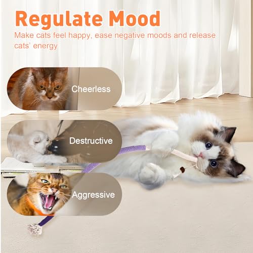 TEAWOO 6 PCS XL Cat Toys Chew Ropes, 27.56 Inches Cat Chew Rope Toy for Teeth Cleaning, Safe Catnip Toys for Cats Rope Chew Toy (6 Bags of Catnip Included)