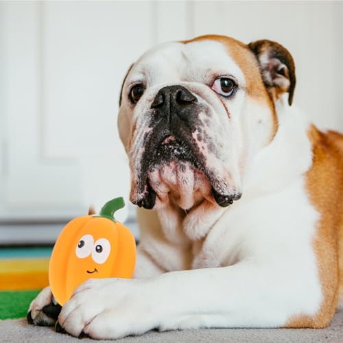 Balacoo 2 Pcs Squeaky Latex Pumpkin Dog Toys, Chew-Redirecting for Destructive Chewing, Teeth-Grinding Texture for Dental Health – for Small & Medium Dogs, Halloween & Fall Play