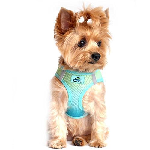 American River Dog Harness Ombre Collection (XS, Aruba Blue) - color: Aruba Blue, size: X-Small