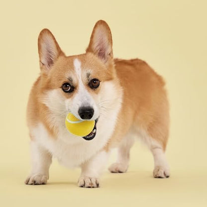 Playology Dog Toys | Squeaky Chew Ball - Bouncy Durable Floating Fetch Ball for Dogs | Medium Chicken Scented Toy - Easy to Clean and Made from Non Toxic Materials - size: Medium, style: Chicken