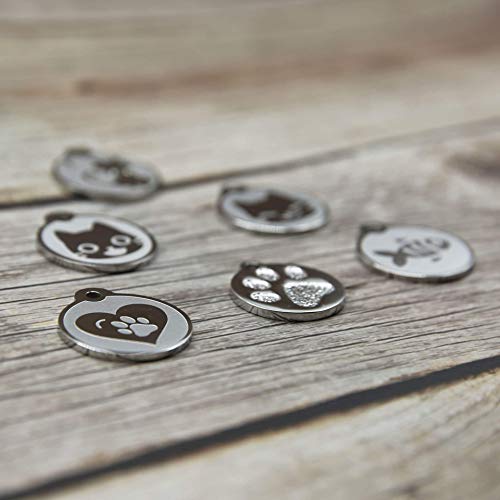 Stainless Steel Cat ID Tags - Engraved Personalized Cat Tags includes up to 4 Lines of Text with Kitty Shape