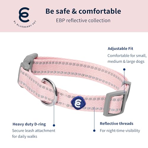 Blueberry Pet Essentials Matching Dog Collar & Leash Set | Pastel Reflective Adjustable Collar with 4 ft Lead for Large Dogs, Baby Pink - color: Baby Pink, size: Large