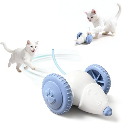 Interactive Cat Toys for Indoor Cats,Automatic Moving Kitten Toys,Cat Mouse Toy with Tail Lights,Cat Toys for Bored Indoor Adult Cats,Cat Enrichment,Smart Electric Tails for Chasing Pet Toys - color: 1 White