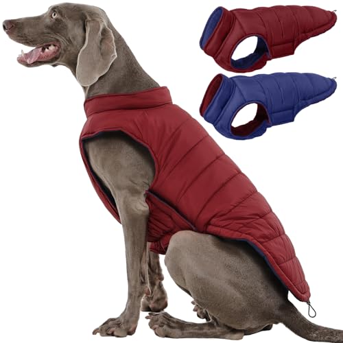 QBLEEV Reversible Dog Jacket for Large Dogs, Waterproof Windproof Winter Coat with Adjustable Hook & Loop Design, Lightweight Puffer Vest Keeps Dogs Warm & Dry, Wine Red, XL – Fits Pitbull, Boxer - color: Date-Red, size: X-Large