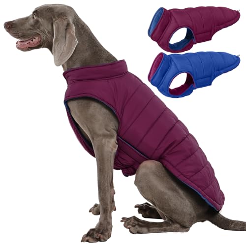 QBLEEV Reversible Dog Winter Coat, Waterproof Windproof Dog Jacket with Adjustable Fit & Leash Hole, Lightweight Warm Puffer Vest for Large Breeds, Purple, 2XL – Fits Labrador, Husky, Weimaraner - color: Violet-Blue, size: XX-Large