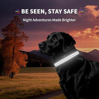 LED Dog Collar with Metal Buckle - USB Rechargeable Glow Collar for Dogs, Waterproof Light Up Dog Collar w/Reflective Strips - Adjustable Night Safety Collars by PetIsay(White,Large) - color: White(Fiber optic version), size: Large (18½ " - 23½ ")