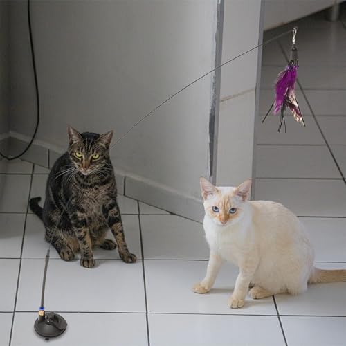 Plume-Like Teasing Cat Wand with Bell, 4pcs Replacement Heads, Strong Suction Base, Indoor Interactive Teaser for Cats and Kittens
