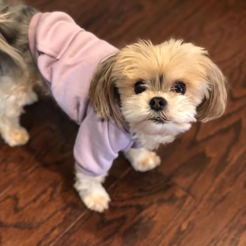 Jecikelon Winter Dog Hoodie Sweatshirts with Pockets Warm Dog Clothes for Small Dogs Chihuahua Coat Clothing Puppy Cat Custume (Purple, XX-Small) - color: Purple, size: XX-Small