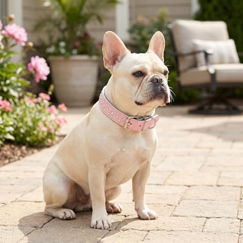 Rhinestones Dog Collar, Adjustable Sparkly Crystal Studded Genuine Leather Pet Dog Collar for Small and Medium Dogs (S, Pink) - color: Pink, size: S