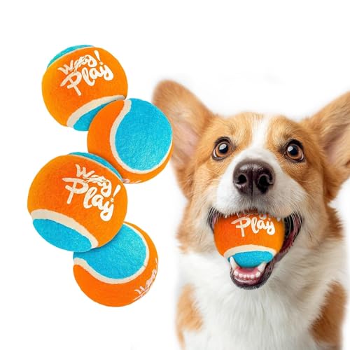 ALL FOR PAWS 2.5" Tennis Balls for Dogs, Dog Balls for Ball Launcher Toy, Bouncy & Durable Fetch Balls for Medium Large Dogs, 4 Pack Fetch Toy for Outdoor Play - size: 2.5"ball