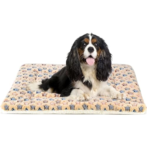 Mora Pets Dog Bed Crate Pad Ultra Soft Pet Bed with Cute Star Print Washable Crate Mat for Large Medium Small Dogs Reversible Fleece Dog Crate Kennel Mat Cat Bed Liner 29 x 21 inch Brown - color: Brown, size: 30-Inch