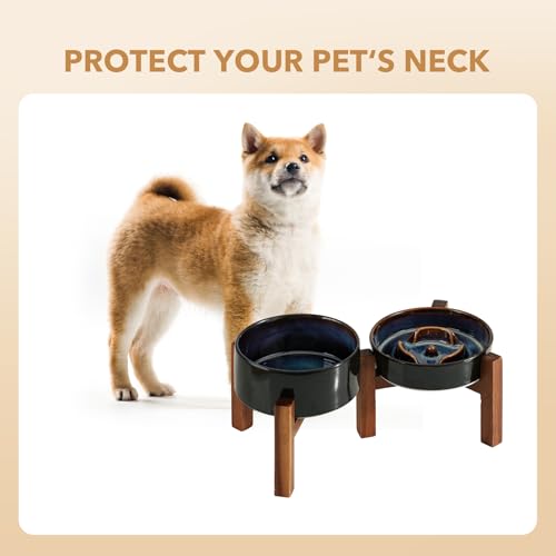 Havniva 0.9 Cup Elevated Slow Feeder Dog Bowls, 6.1” Dog Slow Feeding Bowls + 6.1” Ceramic Dog Water Bowls Set with Acacia Wood Stand, Dog Food Bowls Puzzle Feeder for Small Dogs Non-Slip Anti-choking - color: 2 x Starry Sky + Stand - A, size: S- 6.1inch