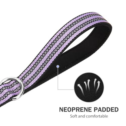 Hikiko Double Handle Traffic Dog Leash Reflective Training Walking Lead for Medium and Large Dogs (Lavender,4FT) - color: Lavender, size: 1 in x 4 ft