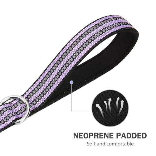 Hikiko Double Handle Traffic Dog Leash Reflective Training Walking Lead for Medium and Large Dogs (Lavender,5FT) - color: Lavender, size: 1 in x 5 ft