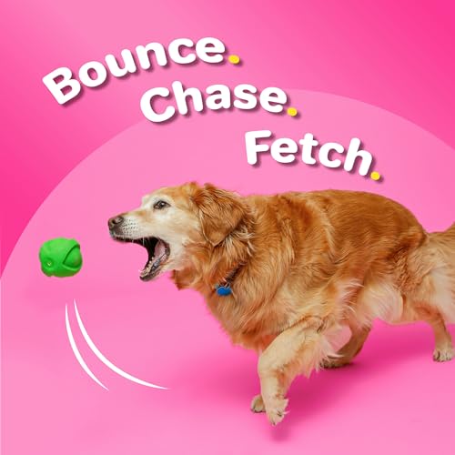 Hartz DuraPlay Bacon Scented Dog Toys, Large 1 Count, Colors May Vary (Pack of 2) - size: 2 Count, style: Large Ball