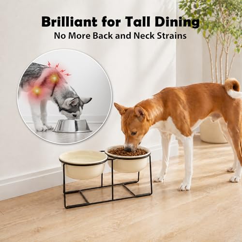 Ceramic Elevated Dog Bowl Set - Raised Double Feeding Bowls with Metal Stand - Pet Dishes for Medium and Large Dogs - 5.8 Cups - 47.3 fl oz - Beige - color: Beige, size: XL-800ml