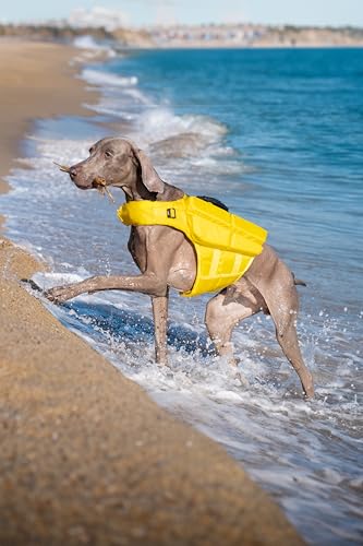 NOAH & PAW Dog Life Jacket, Human Standards Lifejacket Design, Dog Life Vest for Swimming and Boating, 3X Foam Support for Max Floating, Breathable Mesh, Salvavidas para Perros, Size L - size: L