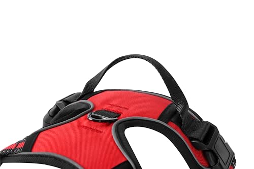 Red No-Pull Dog Harness with 2 Leash Clips，Soft Padded Vest for Large Dog, Adjustable Reflective Dog Vest Easy to Put on and Take Off, (Neck: 17"~24", Chest: 24"~32",Red L) - color: Red, size: Large