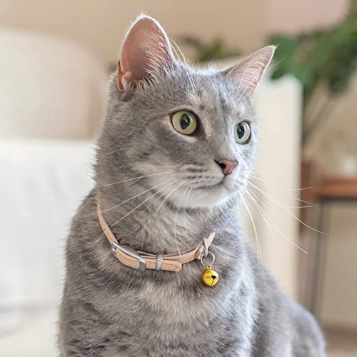CollarDirect Leather Cat Collar with Removable Bell – Safety Elastic Strap (Breakaway Alternative) – Kitten Collar for Small & Big Boy & Girl Cats - color: Beige, size: 8-11 Inch