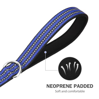 Hikiko Heavy Duty Dog Leash Strong Two Padded Soft Handles Dog Leash for Medium and Large Dogs (Blue,6FT) - color: Blue, size: 1 in x 6 ft
