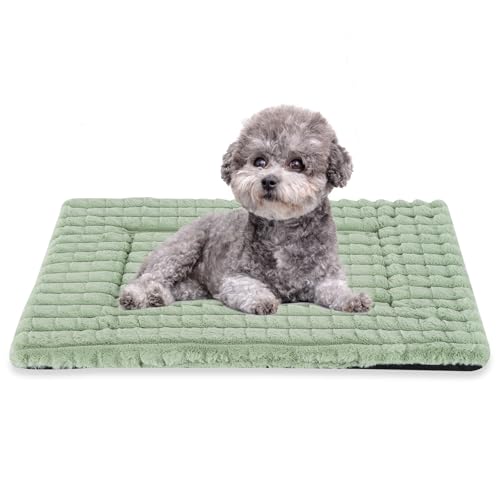 Dog Bed Washable Crate Mattress,Anti-Slip Memory Foam Soft Warm Pet Cushion for Small Medium Dogs, Calming Fluffy Sleeping Kennel Pad XH082 (24''x18'',Green) - color: Green, size: 24''x18''