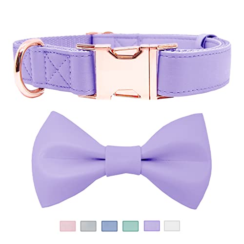 Soft Leather Bowtie Dog Collar - Adjustable Cute Bow Tie Collar [Easy to Clean] with Stylish Rose Gold Heavy Duty Metal Buckle for Small Medium Large Dogs - Durable & Comfortable XS,Purple - color: Purple, size: XS(8"-12")