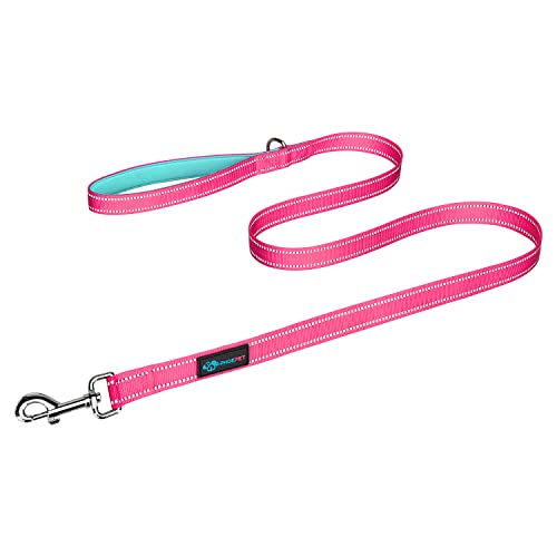PHOEPET 5 Feet Dog Leash with Comfortable Padded Handle Easy Snap Clasp - Reflective Walking Lead for Large, Medium & Small Breed Dogs (Pink + Mint Green Base) - color: Pink + Mint Green Base