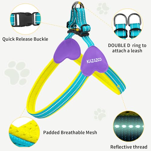 Kazazoo No Pull Small Dog Harness and Leash Set, Adjustable Puppy Soft Vest Harness with Breathable Mesh Padded, Reflective Lightweight Harness with Buckle for Extra Small Medium Dogs, Blue XS - color: Yellow&Blue, size: XS
