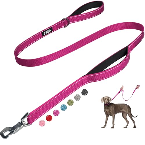 Fida 4 FT Heavy Duty Dog Leash with 2 Comfortable Padded Handles, Traffic Handle & Advanced Easy Snap Hook, Reflective Walking Lead for Large, Medium & Small Breed Dogs, Rose - color: Rose, size: 4 Feet (Pack of 1)