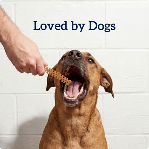 Groovies Senior Small Dog Dental Chews for Dogs, Patented DentalFit Technology for Plaque & Tartar Support, Flexible Texture for Easy Chewing, Chicken Flavor, USA Manufactured, 5–15 lb Dogs,22 Count - size: 6 Ounce