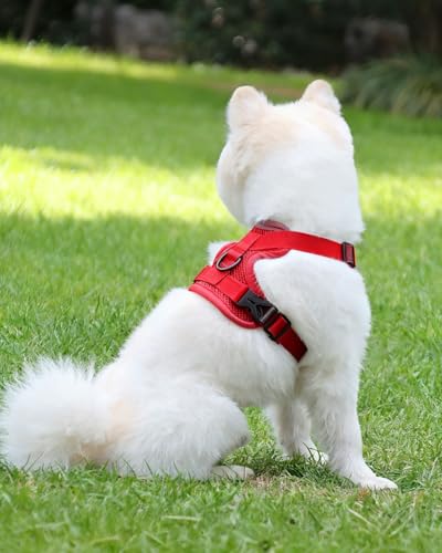 Reflective Adjustable Dog Harness with Leash Breathable No-Pull Pet Vest for Walking and Training DJA702-03M - color: Red, size: Medium