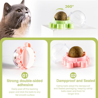 4 Pack Catnip Balls Wall Mounted - Organic Edible Catnip Toy for Cats, 360° Rotatable Interactive Chew Indoor Cat Toy