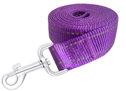 Reflective Dog Leash 4Ft /5 Foot /6 Feet Long, 1 Inch Wide, for Small and Medium Dogs - color: Reflective Purple, size: 1'' x 4 FT