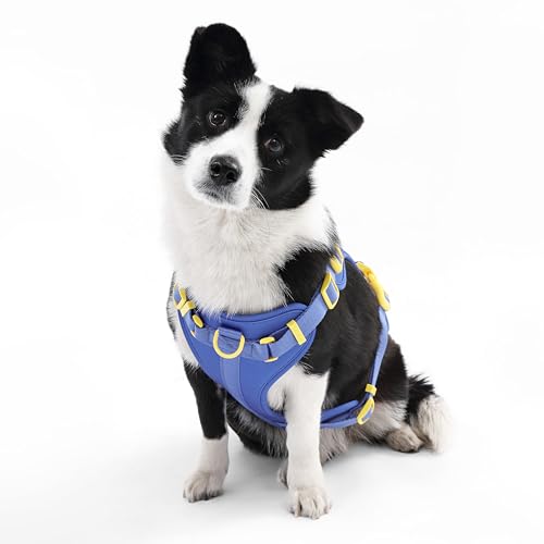 HNS1003C Arlo Large Adjustable Soft Padded No Pull Pet Harness with 3 Buckles and 3 Leash Clips, Curaçao - color: Dark Blue, size: Large (Chest: 24 - 37")