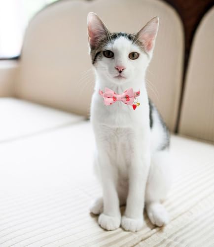 Breakaway Cat Collar with Bow Tie,2 Pack Adjustable Kitten Collars with Removeable Bowtie and Bells for Girl Boy Cats. (Pink and White) - color: pink and white