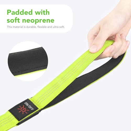Colaseeme Light Up Dog Leash, LED Pet Leashes USB Rechargeable, Glow Safety Dogs Lights at Night (4FT,Green-New) - color: Green (New), size: 4FT