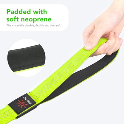 Colaseeme Light Up Dog Leash, LED Pet Leashes USB Rechargeable, Glow Safety Dogs Lights at Night (4FT,Green-New) - color: Green (New), size: 4FT