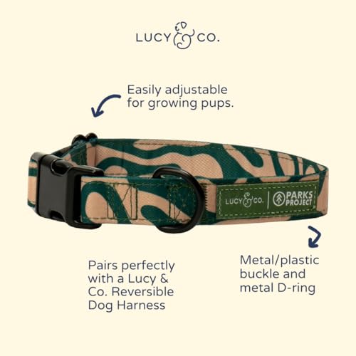 Lucy & Co. x Parks Project Geyser Dog Collar, Adjustable Durable Dog Collar with Cute Print, Small - color: Geyser, size: Small