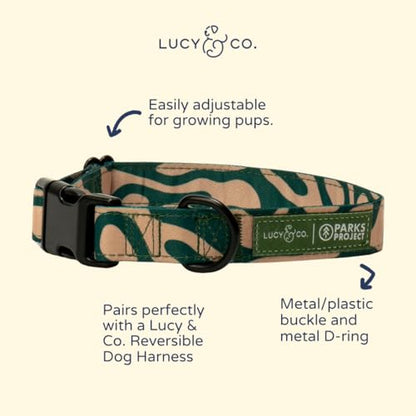 Lucy & Co. x Parks Project Geyser Dog Collar, Adjustable Durable Dog Collar with Cute Print, Small - color: Geyser, size: Small