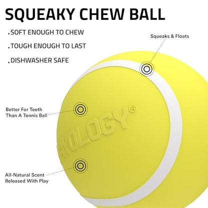 Playology Dog Toys | Squeaky Chew Ball - Bouncy Durable Floating Fetch Ball for Dogs | Medium Chicken Scented Toy - Easy to Clean and Made from Non Toxic Materials - size: Medium, style: Chicken