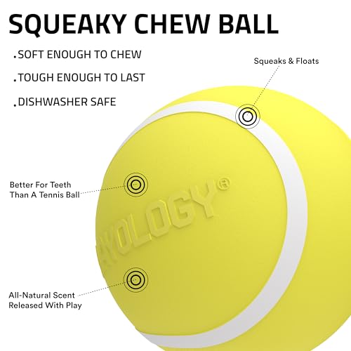 Playology Dog Toys | Squeaky Chew Ball - Bouncy Durable Floating Fetch Ball for Dogs | Jumbo Chicken Scented Toy - Easy to Clean and Made from Non Toxic Materials - size: Jumbo, style: Chicken