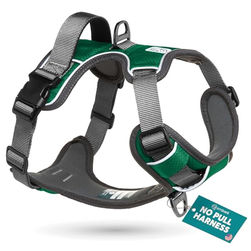 Embark Adventure Medium Dog Harness – No-Pull, Reflective Trim, Military-Grade Nylon, Front Clip with Gel-Lined Handle - color: Green, size: M
