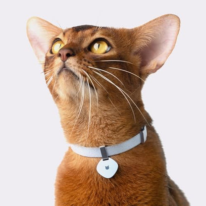 Safety Cat Collar Pro - U.S. IDA Gold Awarding Design, Elastic Quick Release Cat Collar with Buckle Non Breakaway - Lightweight for Kitten All Small Large Cats (Linen, S 5.9-11.8") - color: Linen, size: S 5.9-11.8"