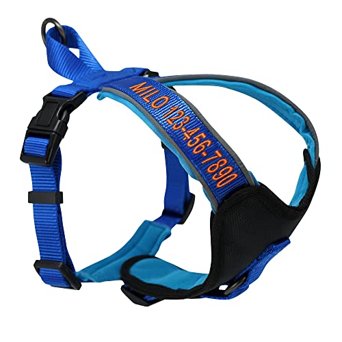 Pawtitas Reflective Padded Dog Harness for Small Dogs – Adjustable Puppy Step-in Vest | Fits Chest 18–22 in | No Pull Personalized Training Harness | S | Blue - color: Blue, size: Personalized Small (Pack of 1)